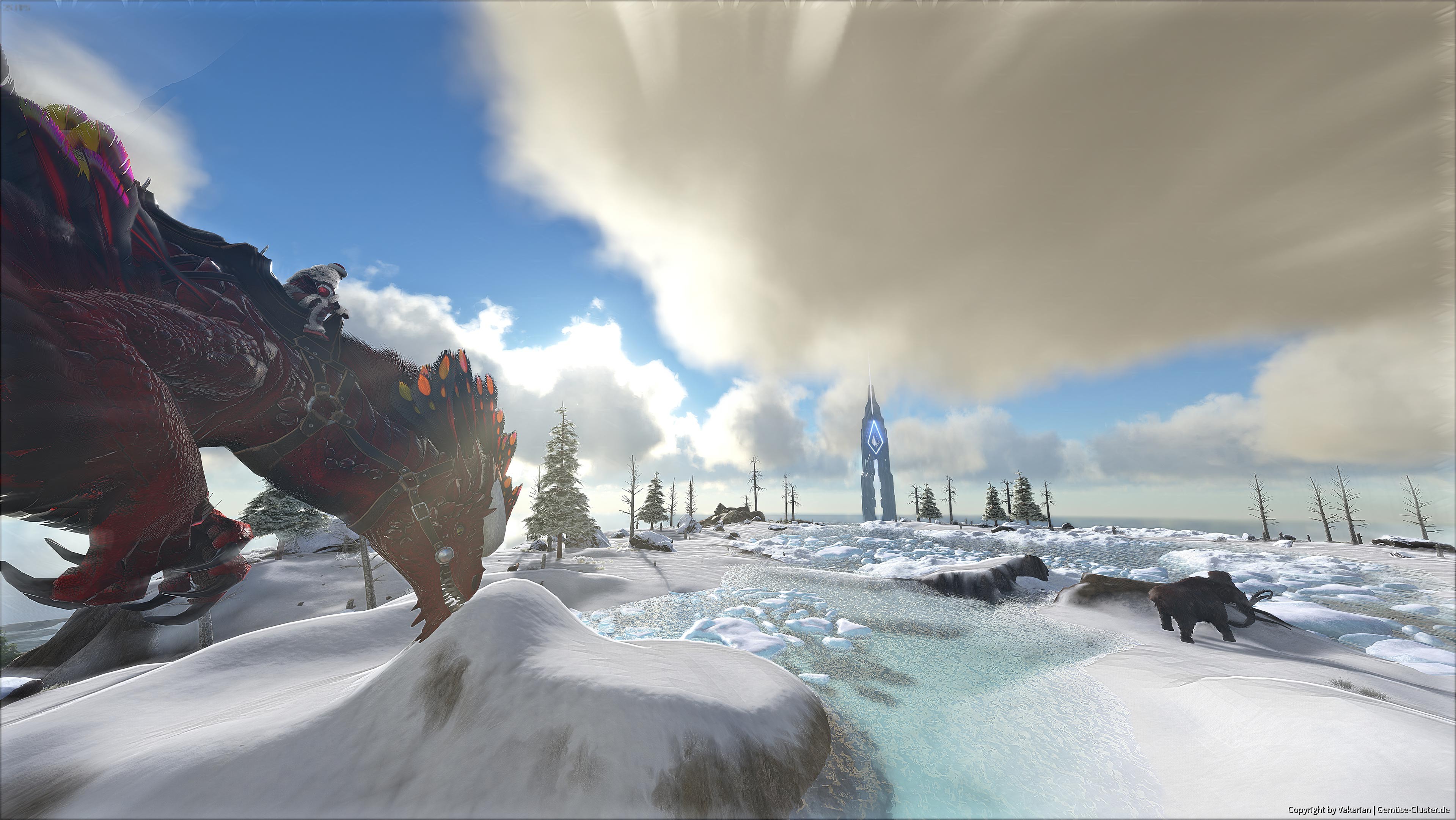 Mit dem Rock Drake im Schnee spielen