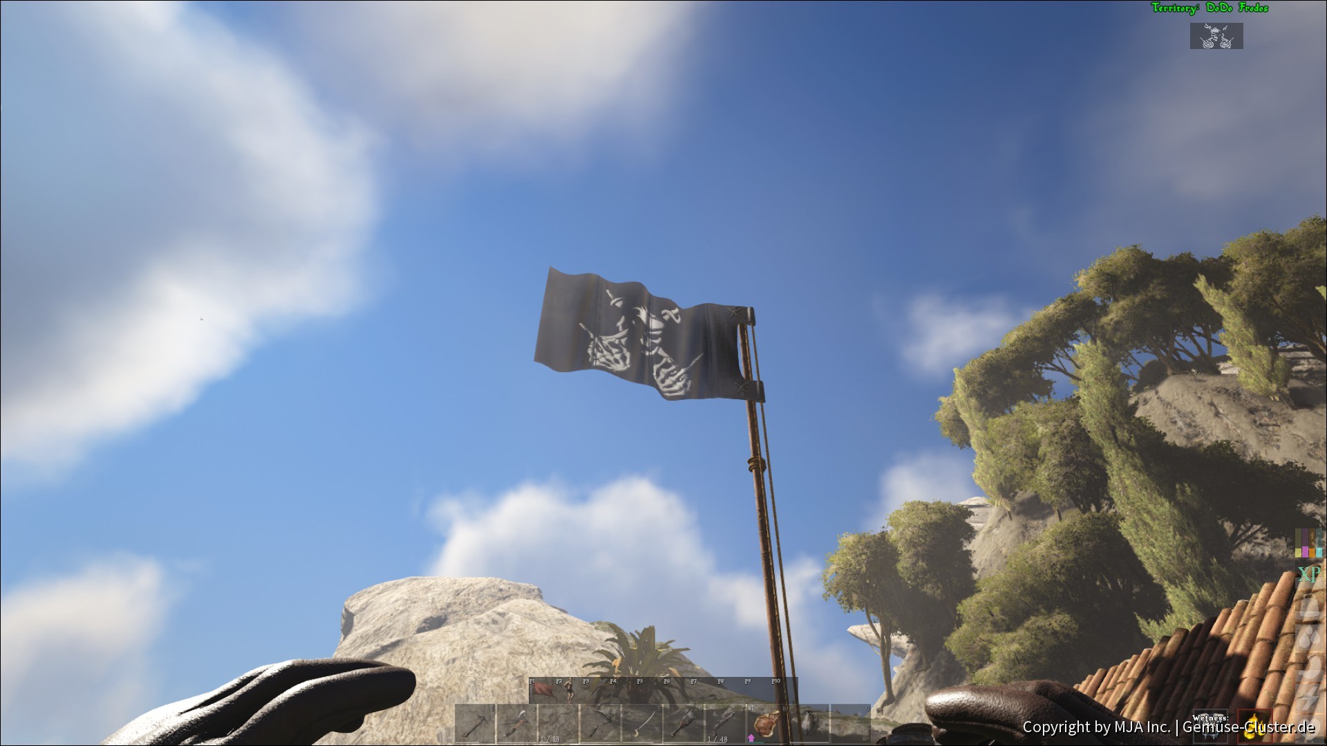 Dodo Frodos Flagge