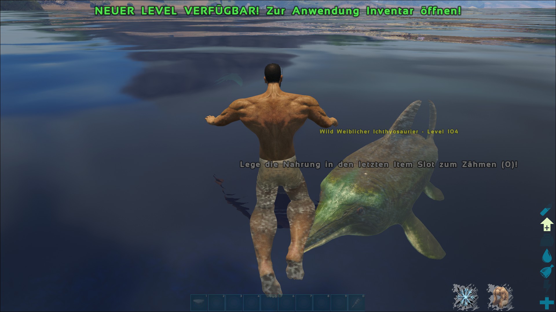 Delfinis