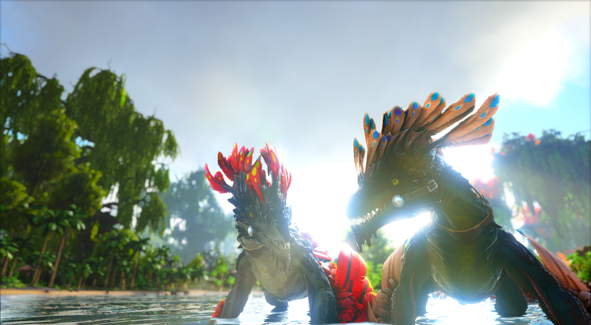 Rock Drachen im Sonnenschein