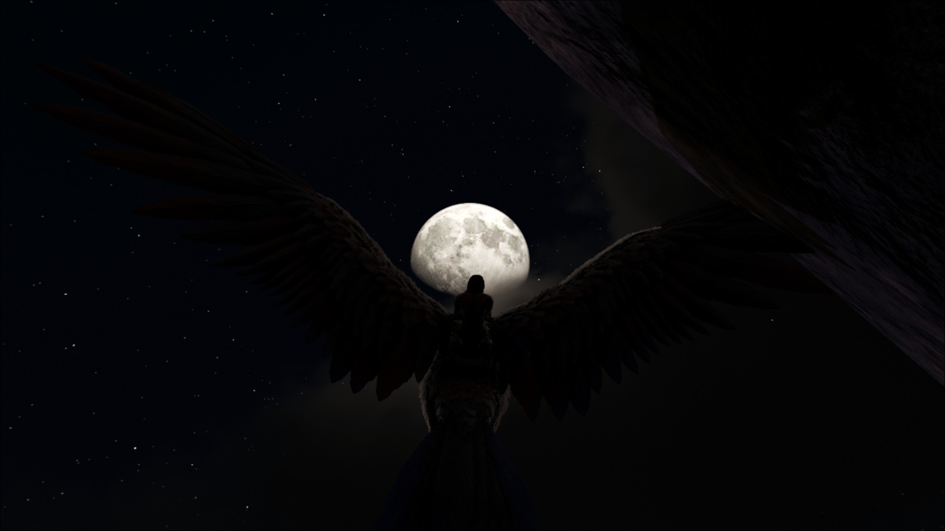 Nacht in Ark