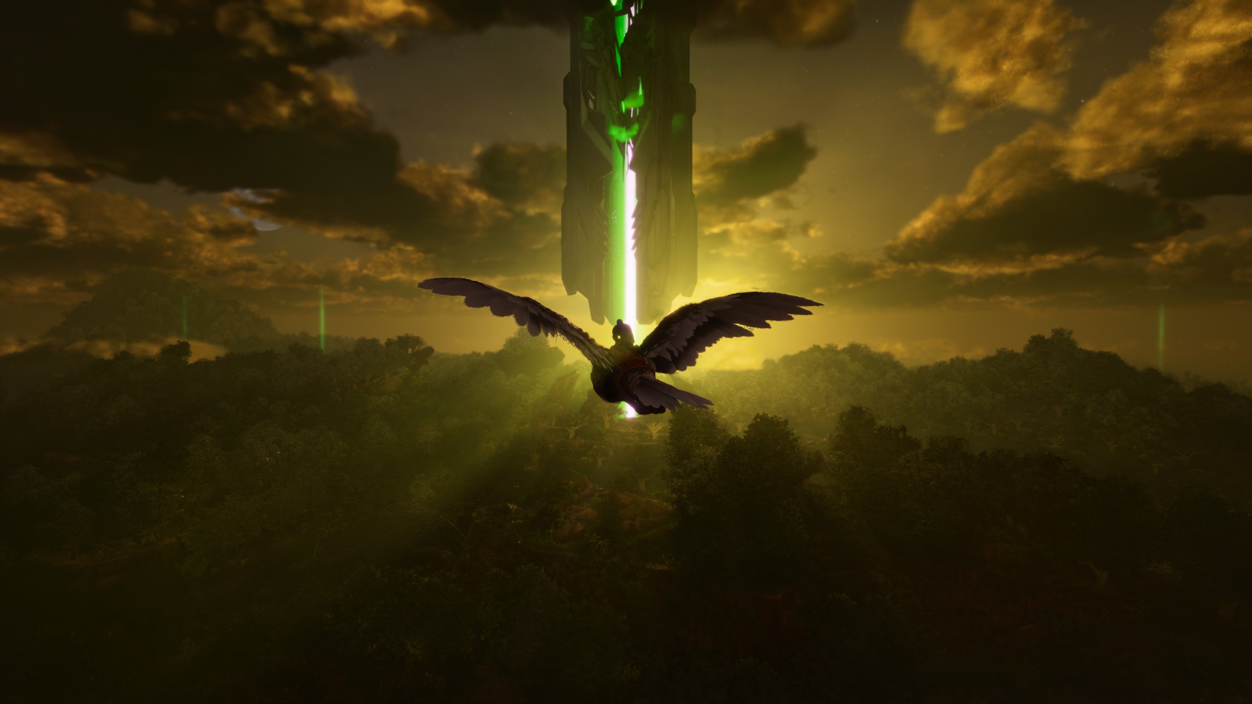 Flug bei Sonnenuntergang