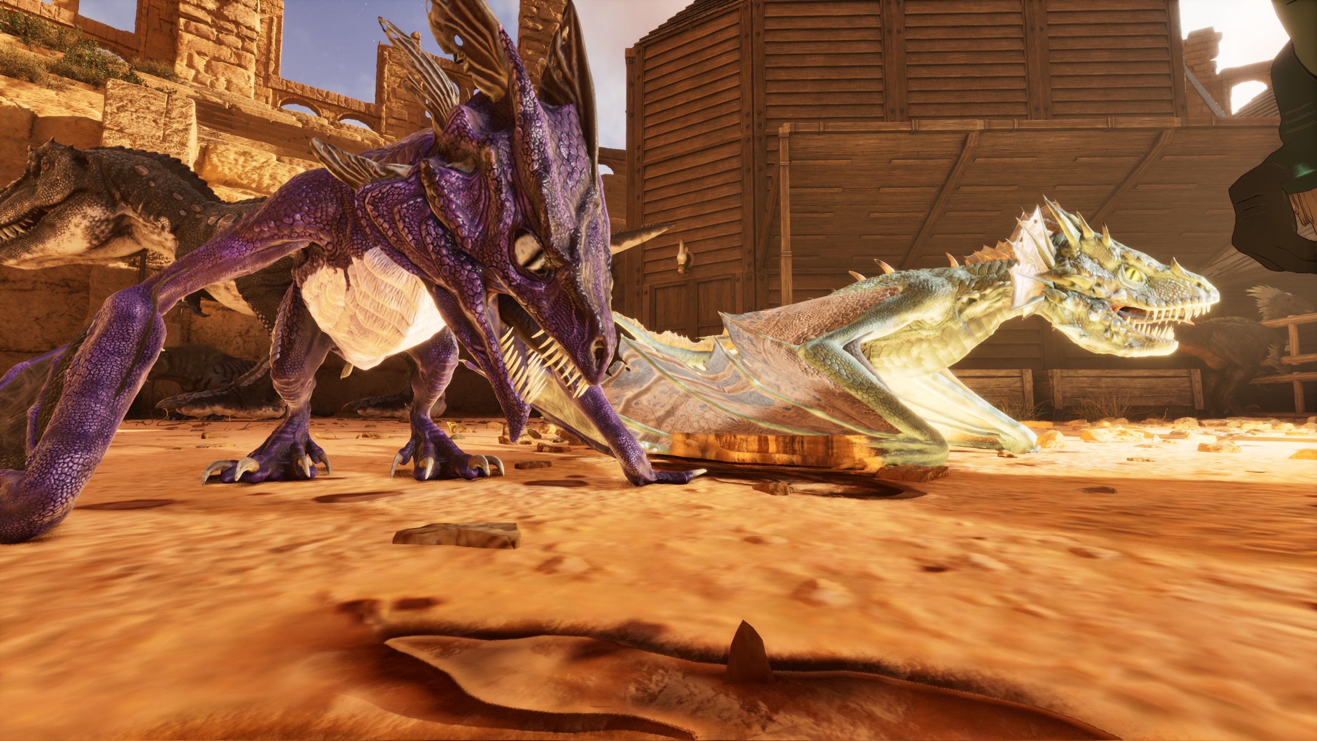 Die ersten Wyvern